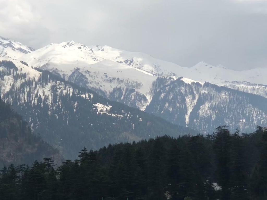 Drifter'S Inn & Cafe Manali  Bagian luar foto